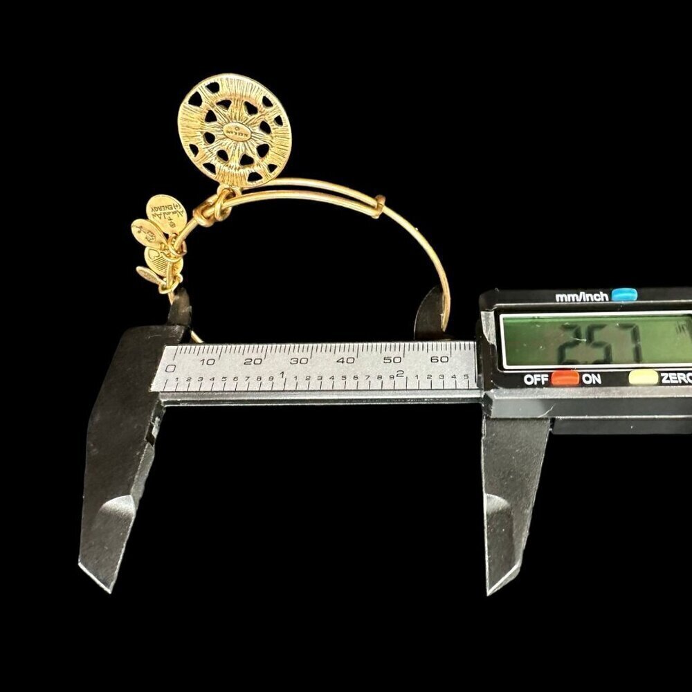 ALEX ANI Charm Bangle Bracelet Openwork Compass Rose Gold Tone Expandable Wire - Picture 11 of 12